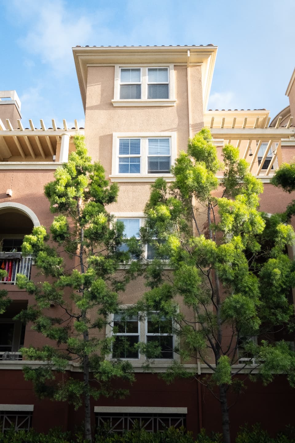 Apartment balconies behind tall green trees