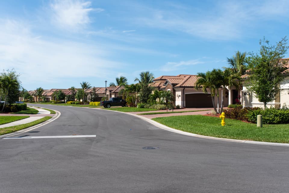 A quiet suburban street with low houses and palm trees
